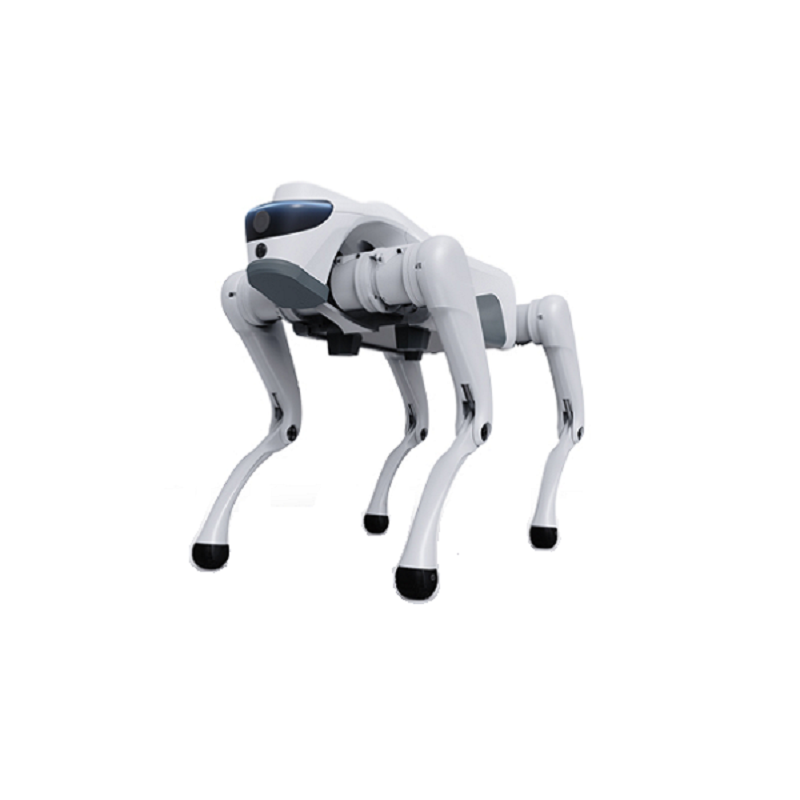 Quadruped robots
