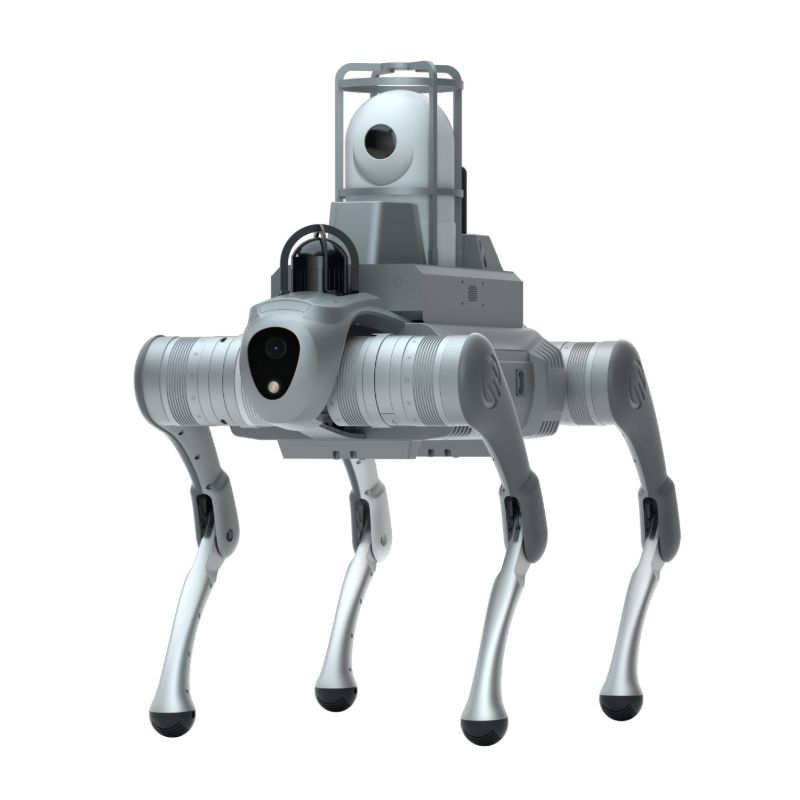 Nelijalkainen robottikoira, nelijalkainen robottialusta